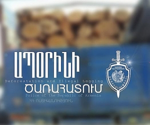 Հայտնաբերվել է շուրջ 10 խմ ապօրինի փայտանյութ