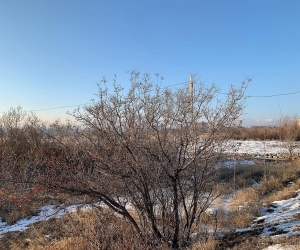 Առաջիկա 5 օրվա եղանակի կանխատեսում