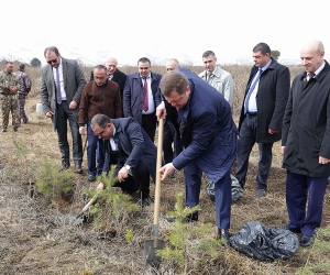 Սևան ազգային պարկի տարածքում հանդիսավոր բացվել է հայ-բելառուսական բարեկամության անտառը