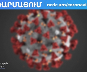 Armenia: 8 More COVID-19 Cases Confirmed; Total Now 110
