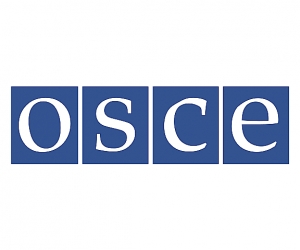 Сoronavirus Response Should Not Impede Work of the Media in Armenia, Says OSCE Media Freedom Representative