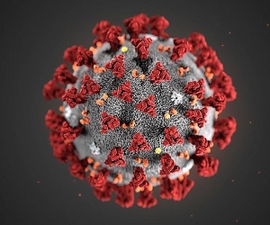 Подтвердились еще 43 случая коронавируса: общее число инфицированных достигло 372