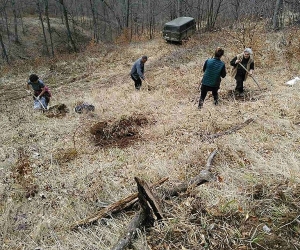 650 հա տարածքներում իրականացվել են անտառվերականգնման աշխատանքներ