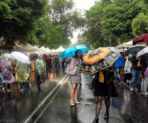 Առաջիկա օրերին սպասվում է անձրև և ամպրոպ