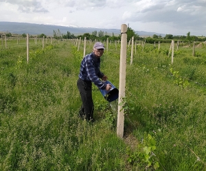 Ջուր կա, բայց պոմպը չի աշխատում. 35 հա հող մնացել է առանց ոռոգման