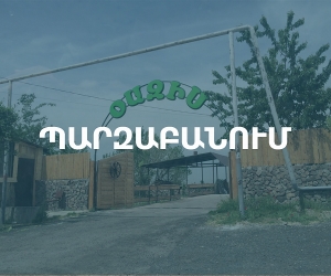 Կոտայքի մարզպետ Ռոմանոս Պետրոսյանի պարզաբանումը՝ Աբովյանի համայնքապետի հայցադիմումի վերաբերյալ
