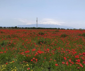 Օդի ջերմաստիճանն էապես չի փոխվի. եղանակի կանխատեսում
