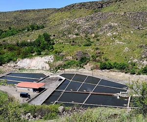 Պտղնիում հայտնաբերվել են ինքնակամ կառուցված ձկնաբուծական լճեր