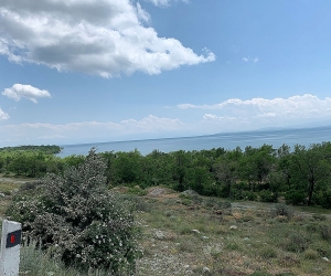 «Սեքյուրիթի դրիմ»-ի սեփականատերերն ու գործընկերները «Սևան» ազգային պարկի անտառածածկ տարածքներում հանգստի գոտիներ են կառուցելու