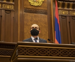 Спикер НС: все депутаты, получившие указание изолироваться, находятся в изоляции