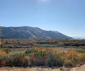Օդի ջերմաստիճանը կհասնի 40 աստիճանի