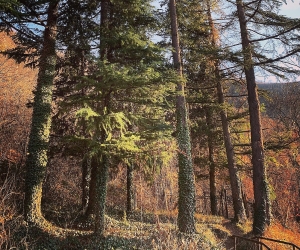 Սպասվում է անոմալ բարձր ջերմային ֆոն