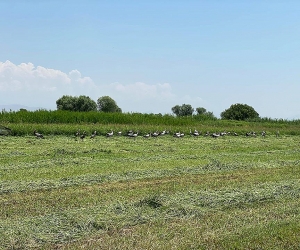 Առաջիկա 5 օրվա եղանակի կանխատեսում