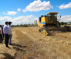 Փոխնախարար Տիգրան Գաբրիելյան. «Գյումրիի սելեկցիոն կայանը լավ նախադրյալներ է ստեղծում տեղական սերմնաբուծության զարգացման համար»