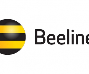 Օպտիկական մալուխների վնասման հետեւանքով Beeline-ի բաժանորդները զրկվել են ինտերնետի հասանելիությունից