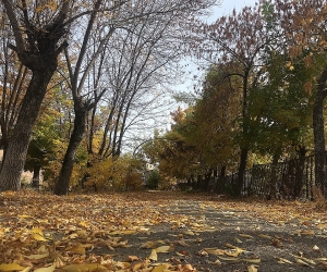 Առաջիկա 5 օրվա եղանակի կանխատեսում