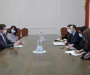 ԱԺ փոխնախագահ Վահե Էնֆիաջյանը հանդիպել է Հայաստանում Ֆրանսիայի արտակարգ եւ լիազոր դեսպանին