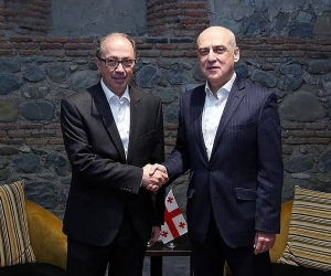 Արա Այվազյանը հանդիպել է Վրաստանի ԱԳ նախարարին