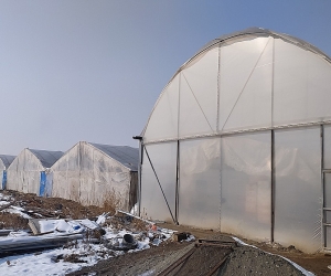 Արտարժույթի տատանումները բացասական են անդրադառնում ջերմատնային տնտեսությունների վրա