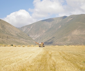 Արցախում վարելահողերի կորստի պատճառով գյուղատնտեսության պետական աջակցության նոր ծրագիր է մշակվել