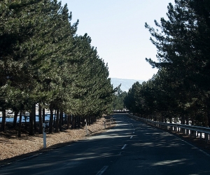 Օդի ջերմաստիճանը փետրվարի 8-9-ն կբարձրանա 2-4 աստիճանով