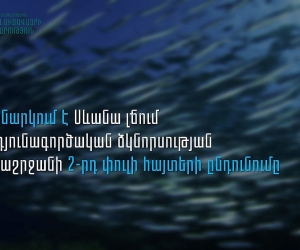 Մեկնարկում է Սևանա լճում արդյունագործական ձկնորսության որսաշրջանի 2-րդ փուլի հայտերի ընդունումը