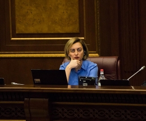 Лена Назарян: “У вас одна цель – назначить единственного виновного” 