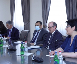 ԱԳ նախարարի պաշտոնակատար Արա Այվազյանի հանդիպումը Ֆրանսիայի Ազգային ժողովի պատգամավորների հետ