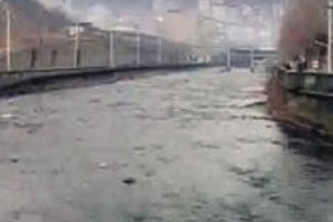 Environmental Ministry Sued For "Dereliction of Duty"