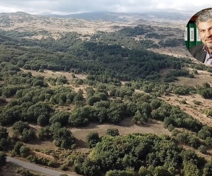 Գործարար, նախկին հյուպատոս Նիկոլայ Սարկիսովը ցանկանում է լեռնադահուկային համալիր կառուցել Արագածոտնի մարզում