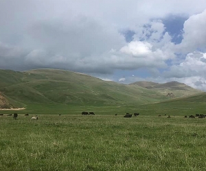 Արման Թաթոյան. Այսօրվա միջադեպն ակնհայտ ցույց է տալիս, թե ով է իրականում խաթարում մարդկանց անվտանգությունը տարածաշրջանում