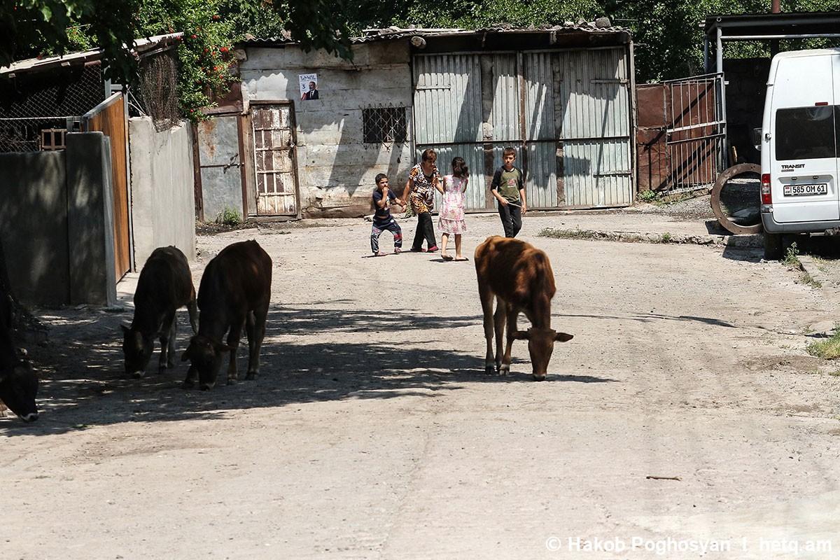 Приграничный Воротан: новая реальность (фотоистория)