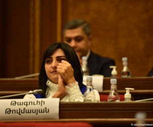 Armenian Opposition MP Says Male Security Guards Cannot Inspect Female Deputies