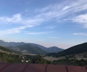 Շուշիի շրջանի Հին-շեն համայնքից ադրբեջանցիները անասուններ են գողացել. Արցախի ՄԻՊ-ն ահազանգում է