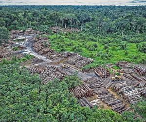 Organized Crime and Corruption: a “Cause and Consequence” of Climate Change