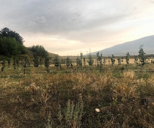 Քաղաքացին ընդդեմ ՀԷՑ-ի․ պետական ծրագրի շահառուի ինտենսիվ այգին մնացել է առանց ոռոգման
