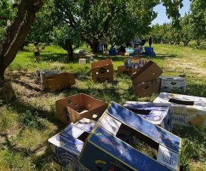ԵԱՏՄ-ում ստեղծվելու է օրգանական արտադրանքի միասնական շուկա