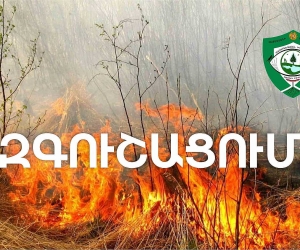 Բուսածածկ տարածքներ այրելը առաջացնում է տուգանքի նշանակում