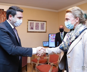 ԱԺ նախագահն ընդունել է ԵԽ գլխավոր քարտուղարին
