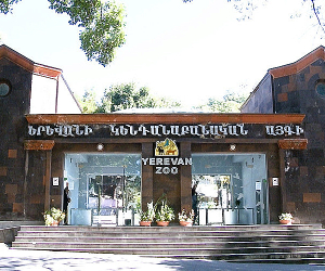 Անգղների անկման պատճառները պարզաբանելու նպատակով իրականացվում են լաբորատոր հետազոտություններ․ Կենդանաբանական այգի