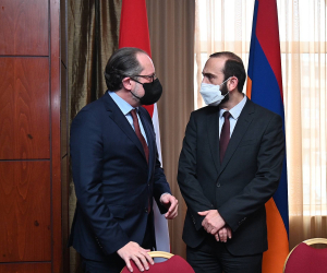 Armenian FM Says Government is Creating Favorable Business Climate
