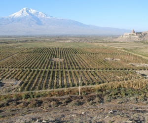 «Քաղաքատեղի Արտաշատ»-ի տարածքում կառուցապատումը կբացառվի, եթե հուշարձանին արգելոցի կարգավիճակ տրվի