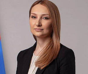 Լիլիթ Մակունցը ԱՄՆ պետքարտուղարի փոխտեղակալին է ներկայացրել Ադրբեջանի կողմից իրականացվող սադրիչ գործողությունները