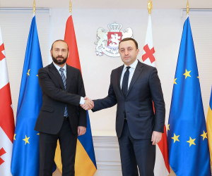 Armenian Foreign Minister, Georgian Prime Minister Meet in Tbilisi
