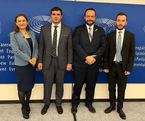 Աժ պատգամավորները Եվրախորհրդարանում քննարկել են տարածաշրջանում էսկալացիան կանխելու հնարավորությունը