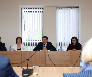 Փոխարտգործնախարարը հանդիպել է Ֆրանսիայի Սենատի Ֆրանսիա-Հայաստան բարեկամական խմբի պատվիրակությանը