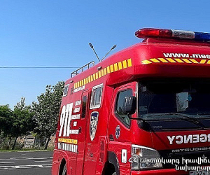 Փրկարարները հայտնաբերել են շահմար տեսակի օձ