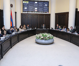Состоялся первый политический диалог совместной платформы “ЗЕЛЕНАЯ Армения”