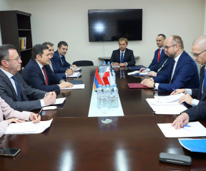 Քաղաքական խորհրդակցություններ Հայաստանի և Լեհաստանի արտաքին գործերի նախարարությունների միջև