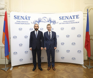 Armenian Foreign Minister, Czech Senate President Discuss South Caucasus Situation